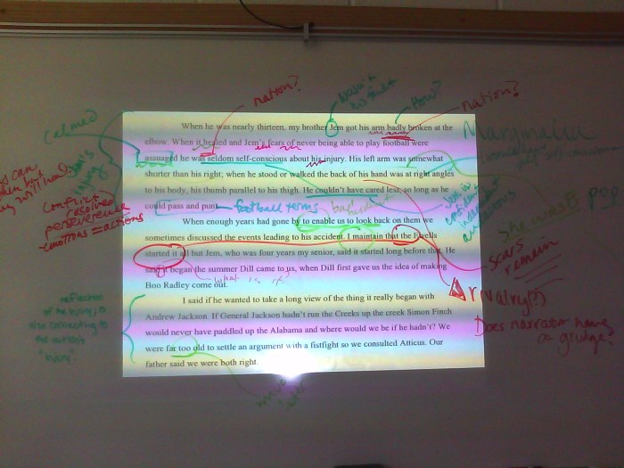 To Kill a Mockingbird Annotation